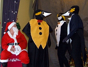 Happy penguins
