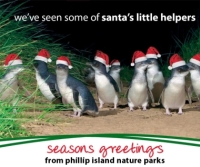 Phillip Island