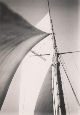 Rig