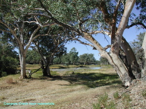 Coopers Creek
