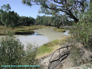 Coopers Creek