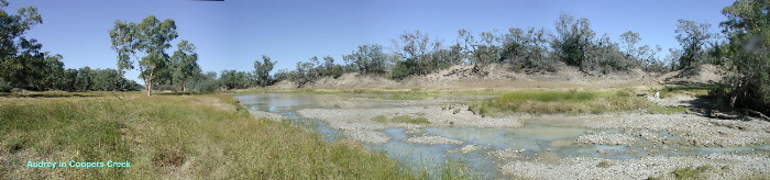 Coopers Creek