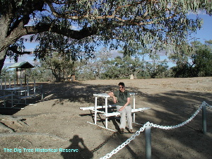 The Dig Tree