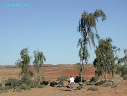 Photos